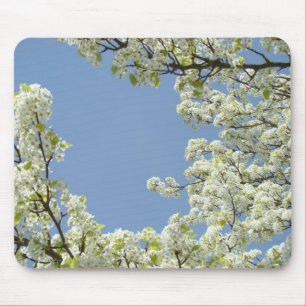 BLOSSOMS MOUSEPADS Tree Blossom Mousepad Blue Sky