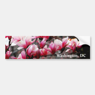 Blossoms of Georgetown University, Washington, DC Bumper Sticker