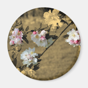 Blossoms On Sepia Flower Magnet