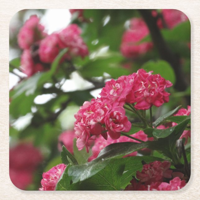 Blossoms Pink Floral Custom Square Coasters (Front)