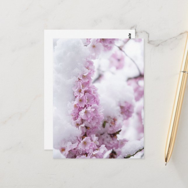 Blossoms Postcard (Front/Back In Situ)