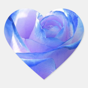 blossoms vines petal rose flowers flower blue love heart sticker