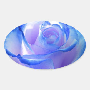 blossoms vines petal rose flowers flower blue love oval sticker