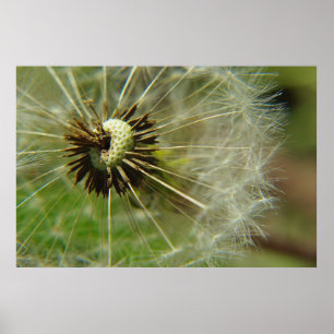 Blow-Ball Poster