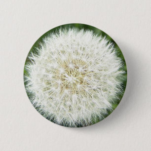 blow bull 6 cm round badge