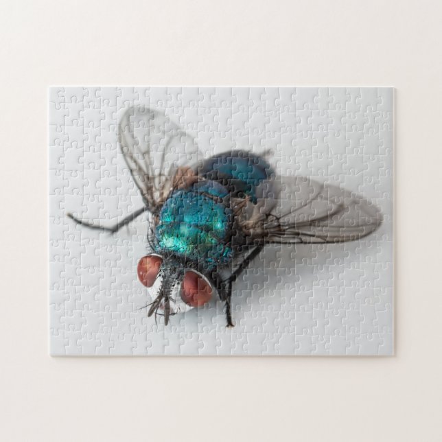 Blowfly Blue Bottle Fly Close-up Bug Photo Puzzle (Horizontal)