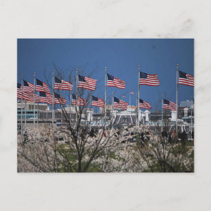 Blowing of the Flags on Capital Grounds Postcard
