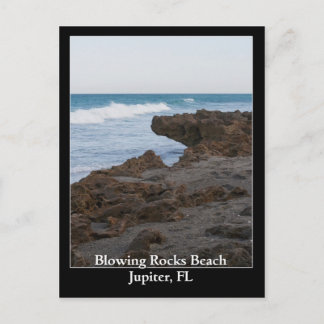Blowing Rocks Beach Jupiter, FL Postcard