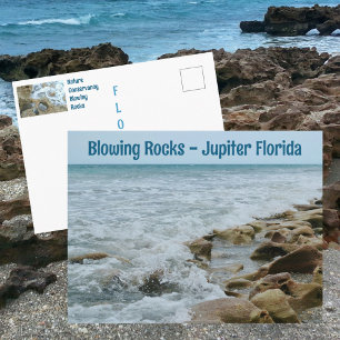 Blowing Rocks Conservancy Jupiter FL Photographic Postcard