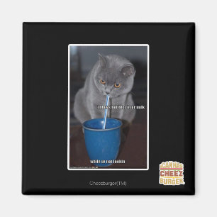 Blows Bubbles in ur milk Magnet