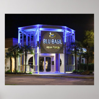 Blu Basil night shot Poster