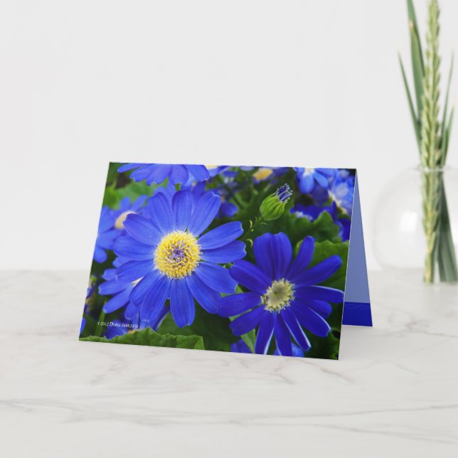 Blu Daisy Thank You Card (Front)