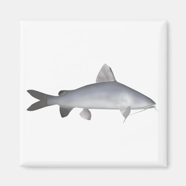 Blu Salmon Catfish Magnet (Front)