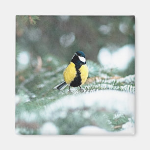 Blue Сhickadee Bird On Green Spruce Tree Magnet