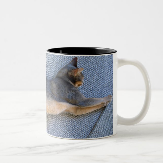 Blue Abyssinian Male Stretched Out Two-Tone Coffee Mug (Right)