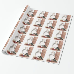 Blue African Owl Pigeon Wrapping Paper