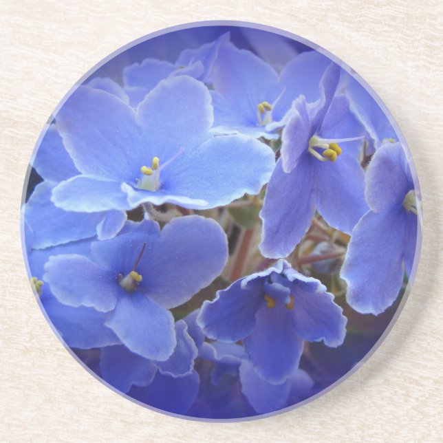 Blue African Violets Coaster (Front)