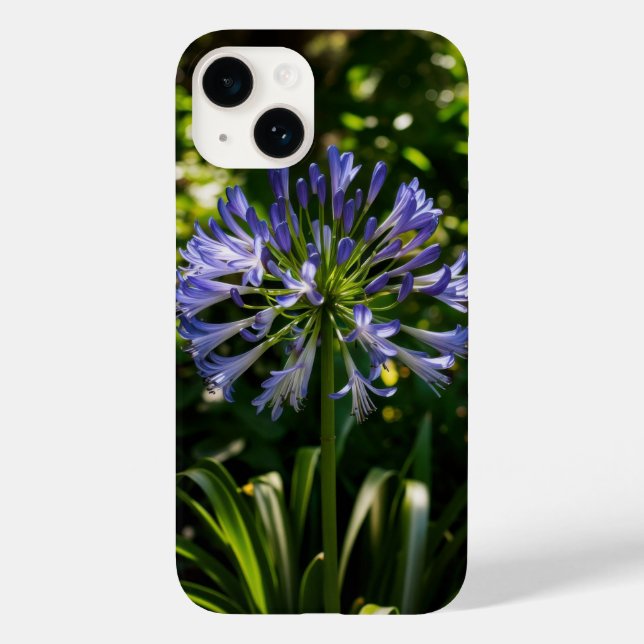 Blue Agapanthus Flowers Phone Case (Back)