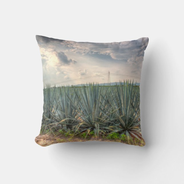 Blue Agave Cushion (Front)