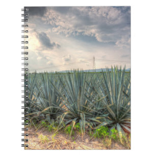 Blue Agave Notebook