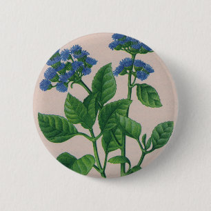 blue ageratum 6 cm round badge