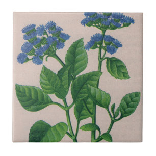 blue ageratum tile
