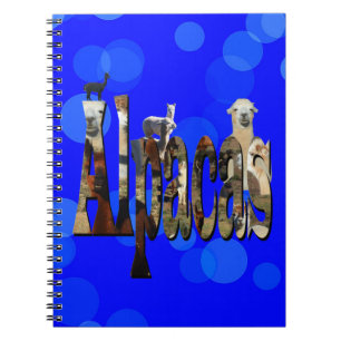 Blue Alpaca Logo Name With Alpacas, Notebook