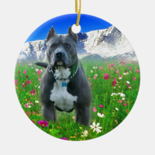 Blue American Pit Bull Terrier, Pikes Peak Ceramic Ornament