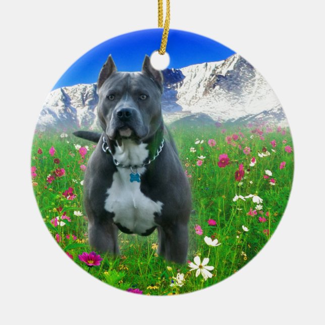 Blue American Pit Bull Terrier, Pikes Peak Ceramic Ornament (Front)