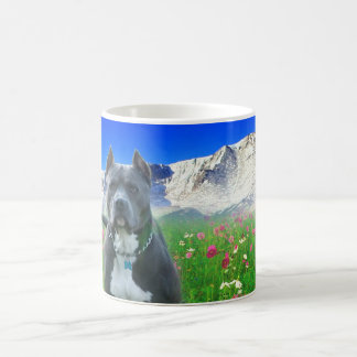 Blue American Pit Bull Terrier, Pikes Peak Coffee Mug