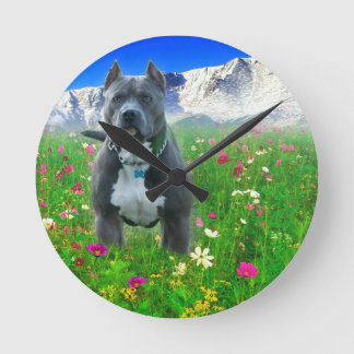 Blue American Pit Bull Terrier, Pikes Peak Round Clock