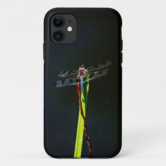Blue and black  Dragonfly on green and red grass Case-Mate iPhone Case (Back)