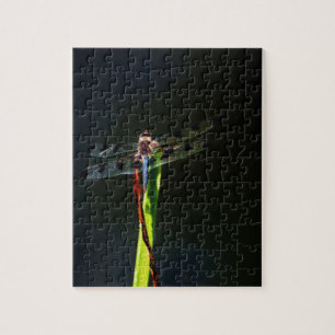 Blue and black  Dragonfly on green and red grass Jigsaw Puzzle