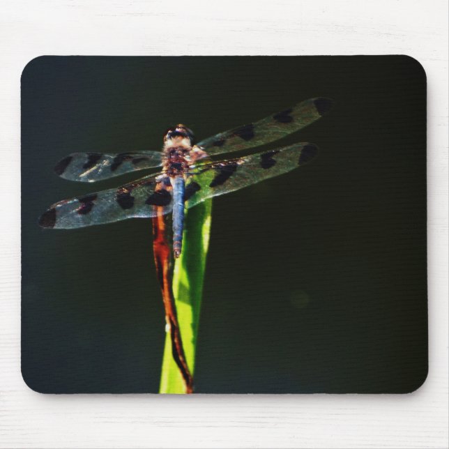 Blue and black  Dragonfly on green and red grass Mouse Pad (Front)