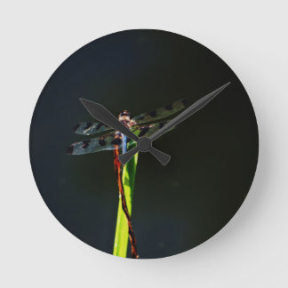 Blue and black  Dragonfly on green and red grass Round Clock