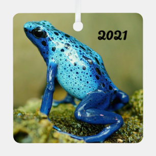 Blue and Black Poison Dart Frog Metal Tree Decoration