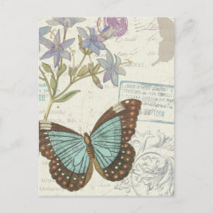 Blue and Brown Butterfly Postcard