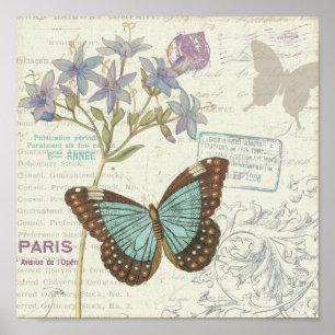 Blue and Brown Butterfly Poster