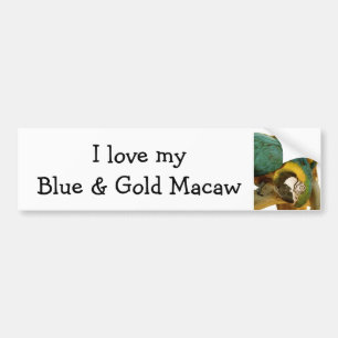 Blue and Gold Macaw Bumper Sticker