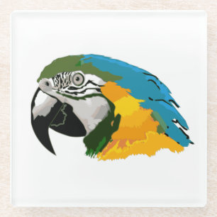 Blue and Gold Macaw Glass Coaster
