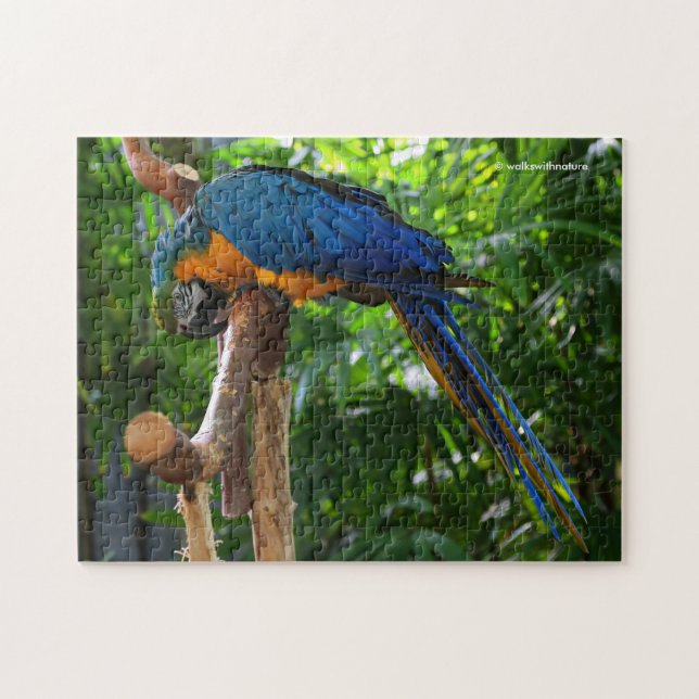 Blue and Gold Macaw Jigsaw Puzzle (Horizontal)