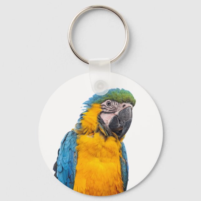 Blue and Gold Macaw Key Ring (Front)