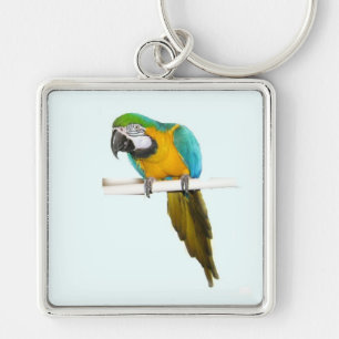 Blue and gold macaw key ring