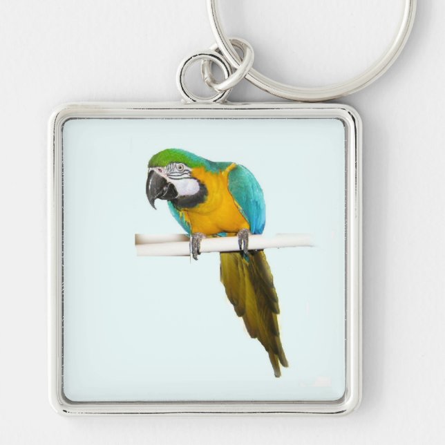 Blue and gold macaw key ring (Front)