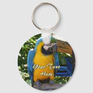 Blue and Gold Macaw Keychain