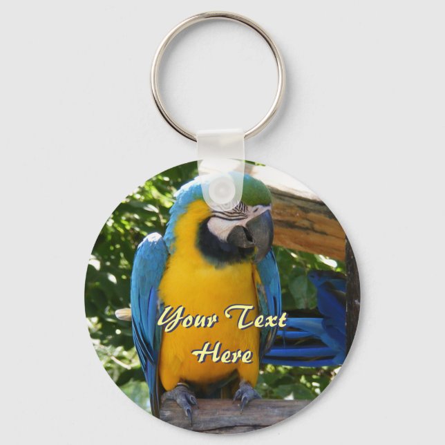 Blue and Gold Macaw Keychain (Front)