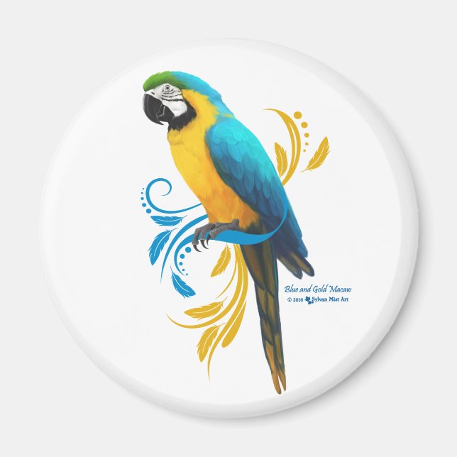 Blue and Gold Macaw Magnet (Front)