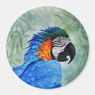 Blue and Gold Macaw Magnet
