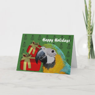 Blue And Gold Macaw Parrot Christmas Holiday Card