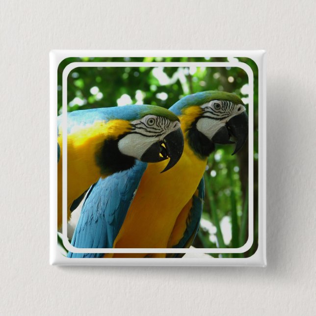 Blue and Gold Macaw Pin (Front)